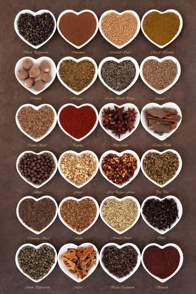 Spice selectie — Stockfoto