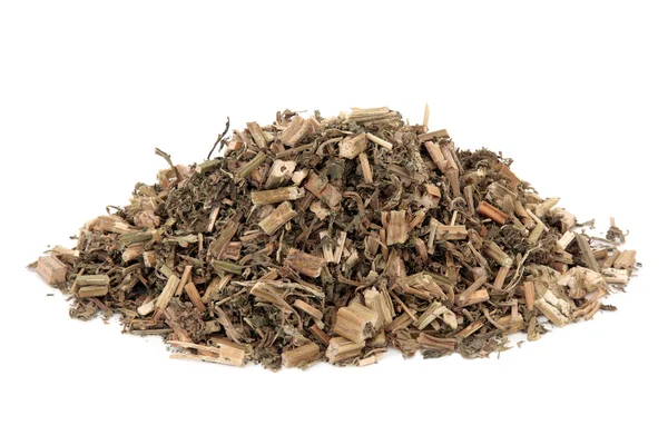 Çin Motherwort bitki — Stok fotoğraf