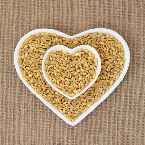 Kamut Khorasan Wheat — Stock Photo, Image