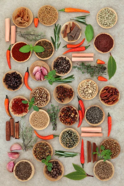 Chilli Spices and Herbs — Stock Photo, Image