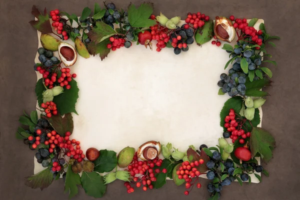 Border of autumn fruit and nuts — Stock Photo, Image