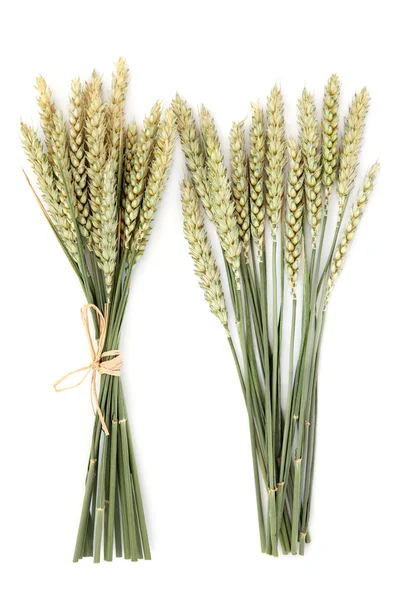 Wheat Bundles — Stock Photo, Image