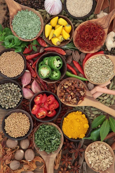 Herb and Spice Ingredients — Stock Photo, Image