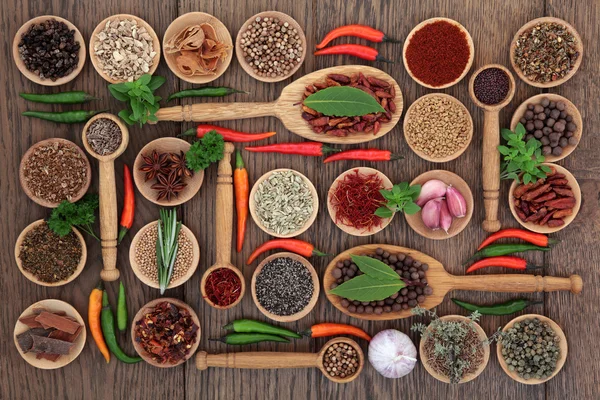 Herb and Spice Food Sampler — Stock Photo, Image