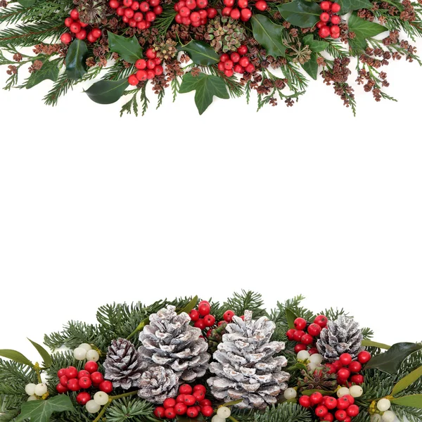 Flore de Noël et d'hiver avec les baies de houx et de rouge, GUI, lierre, bulletins d'enneigement pignes couvertes, de sapin et de verdure traditionnelle sur fond blanc — Stockfoto