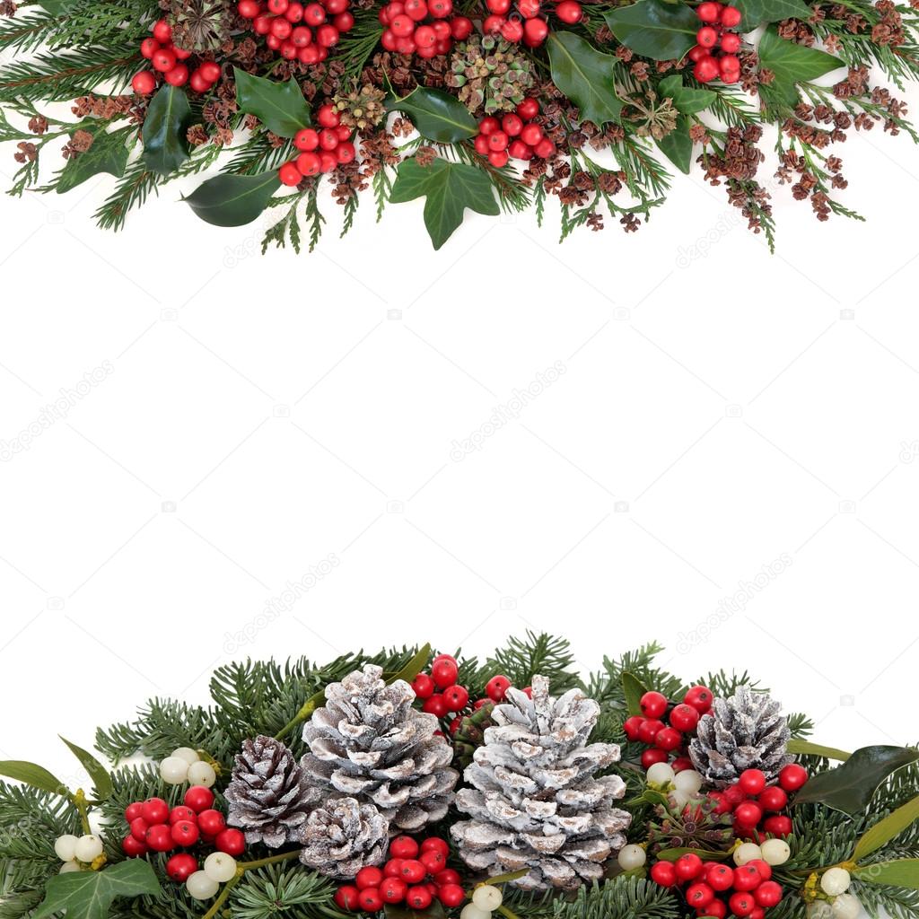 Christmas and Winter Floral Border