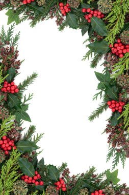 Holly ve kış Flora kenarlık