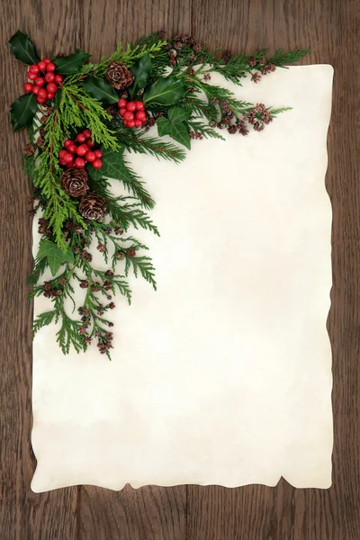 Christmas Floral Border — Stock Photo, Image