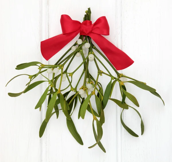 Under the Mistletoe — Stock Photo, Image