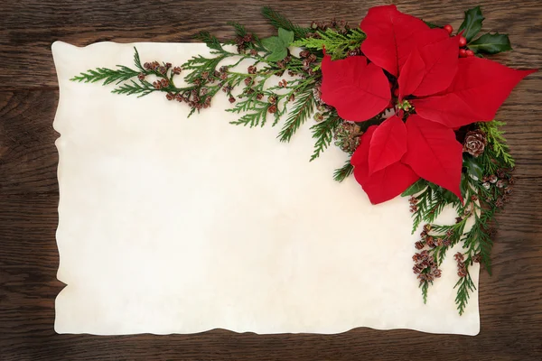 Poinsettia Flower Border — Stock Photo, Image