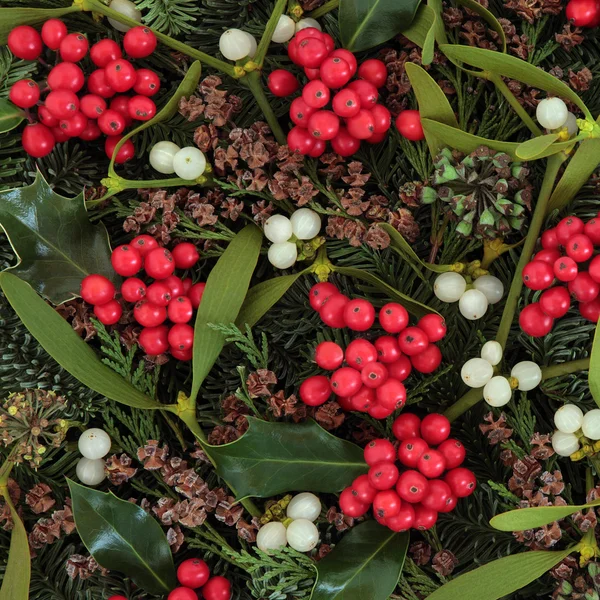 Traditionella vintern flora — Stockfoto