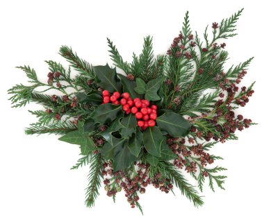 Winter Flora