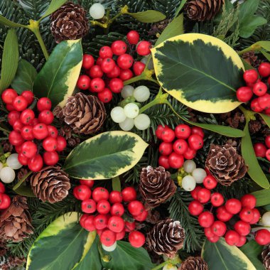 Holly ve kış Flora 