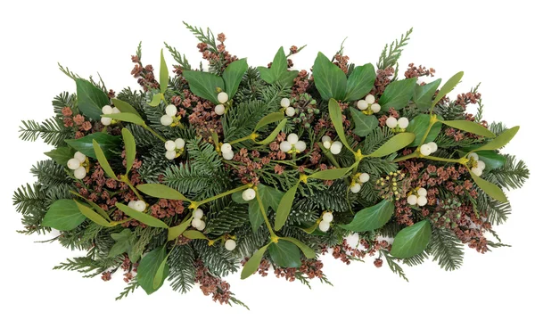 Mistletoe and Winter Greenery — Stock Photo, Image