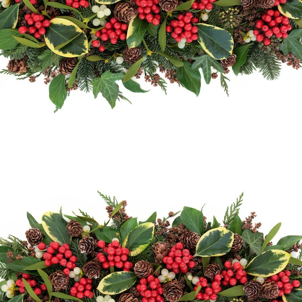 Navidad Holly Border — Foto de Stock