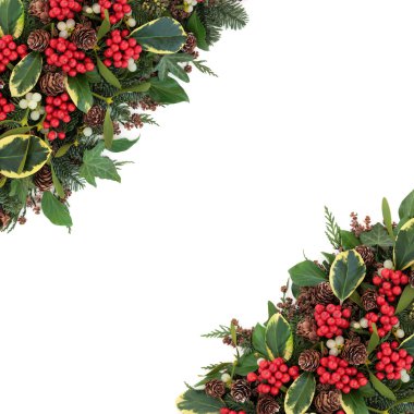 Kış Holly kenarlık