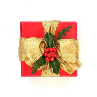 Noel kırmızı hediye kutusu, altın fiyonk ve beyaz arka planda köknar çiçeği süslemesi. Konsept vermek için geleneksel Noel bayramı sembolü.