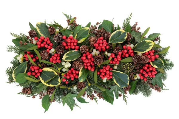 Traditional Winter Flora — Stock Photo, Image