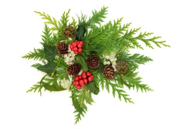 Kış Noel kutsallığı, ökseotu, sedir köknarı, sarmaşık bitkisi, beyaz arka planda çam kozalağı süsü. Şenlikli geleneksel Xmas tasarımı.