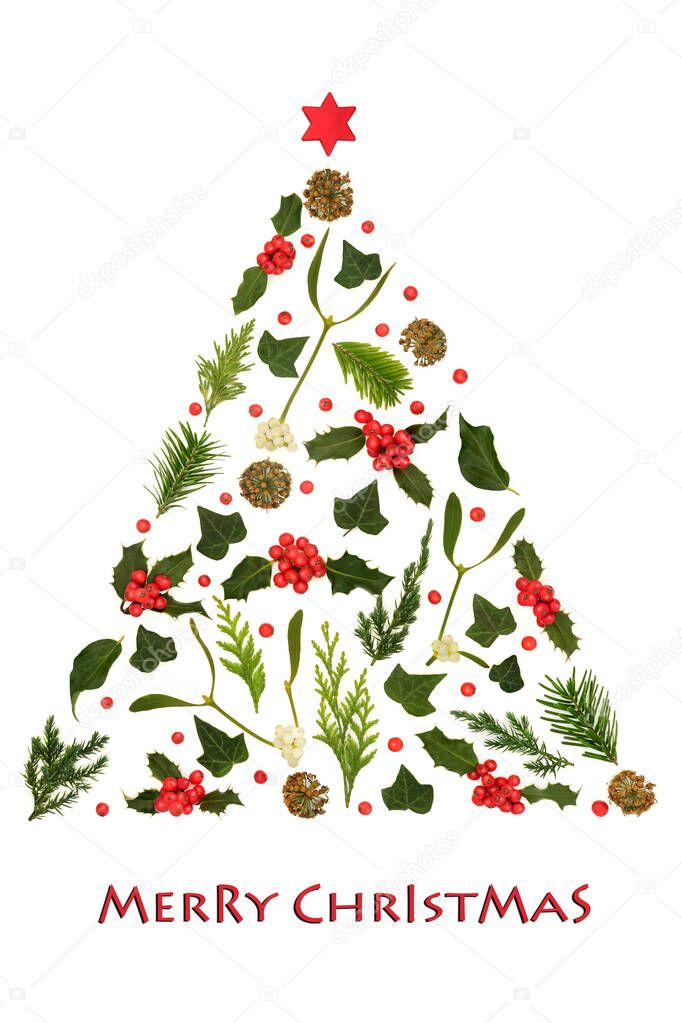 Merry Christmas winter solstice tree shape abstract concept decoration with flora, holly, mistletoe, ivy, fir on white background. Festive Xmas design. Phrase.