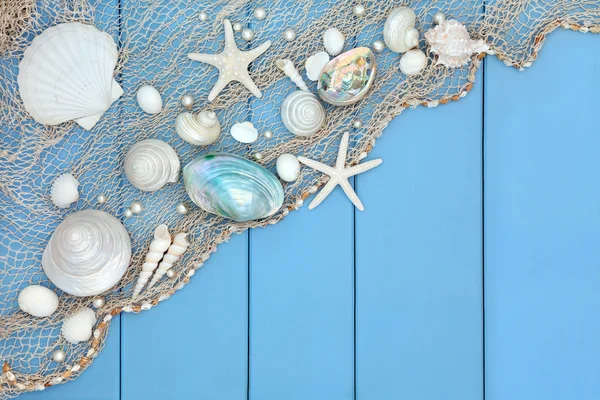 Seashell Collage — Stock Photo, Image