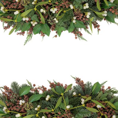 Ökse otu ve kış Flora