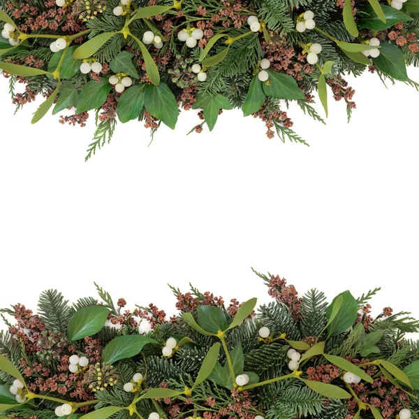 Mistletoe and Winter Flora — Stock Photo, Image