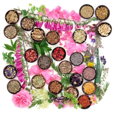 Şifalı bitkiler ve çiçekler