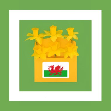 Yeşil beyaz çerçeveli ulusal Cymru kırmızı ejderha Galler bayrağıyla kaplanmış nergis çiçeği buketi. Aziz David Günü için Galler 'in geleneksel sembolleri soyut tebrik kartı.