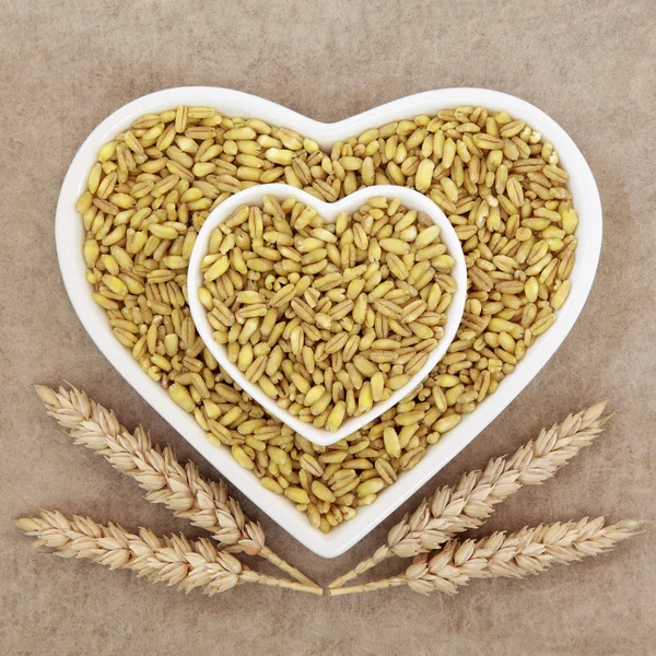 Kamut Khorasan Wheat — Stock Photo, Image