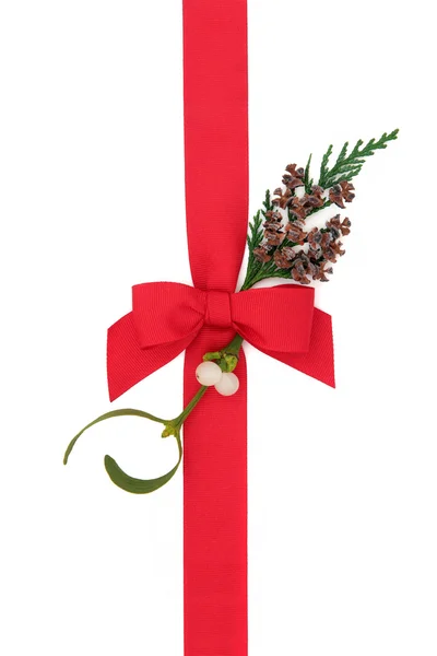 Christmas Ribbon and Flora — Stock Photo, Image
