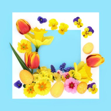 Paskalya yumurtaları mavi, beyaz kare çerçeveli soyut arkaplan süslemeleri. Tatil sezonu için renkli çiçekli yiyecek tasarımı.