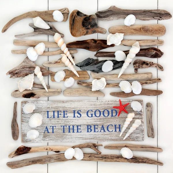 Жизнь хороша на пляже — стоковое фото