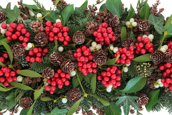 Weihnachts- und Winterflora — Stockfoto