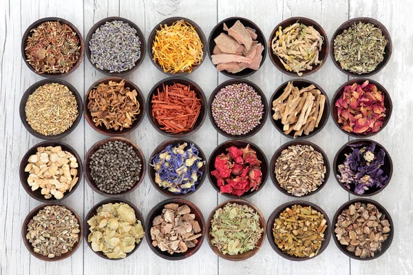 Gran selección de hierbas medicinales —  Fotos de Stock
