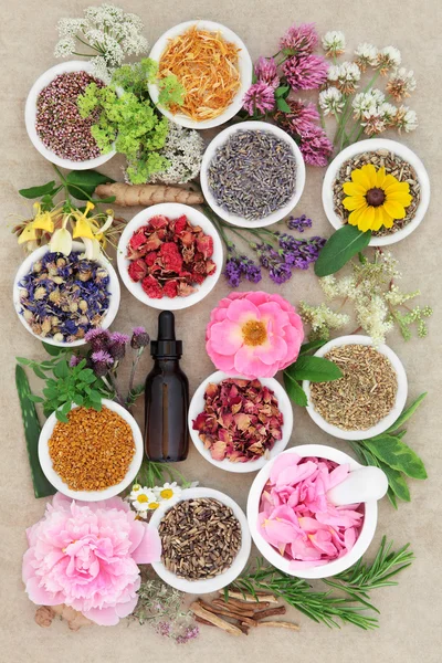 Herbal Medicine Seection de fleurs et d'herbes — Photo