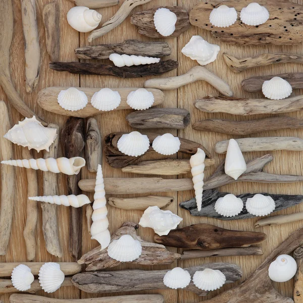 Shell and Rustic Driftwood — Stock Photo, Image