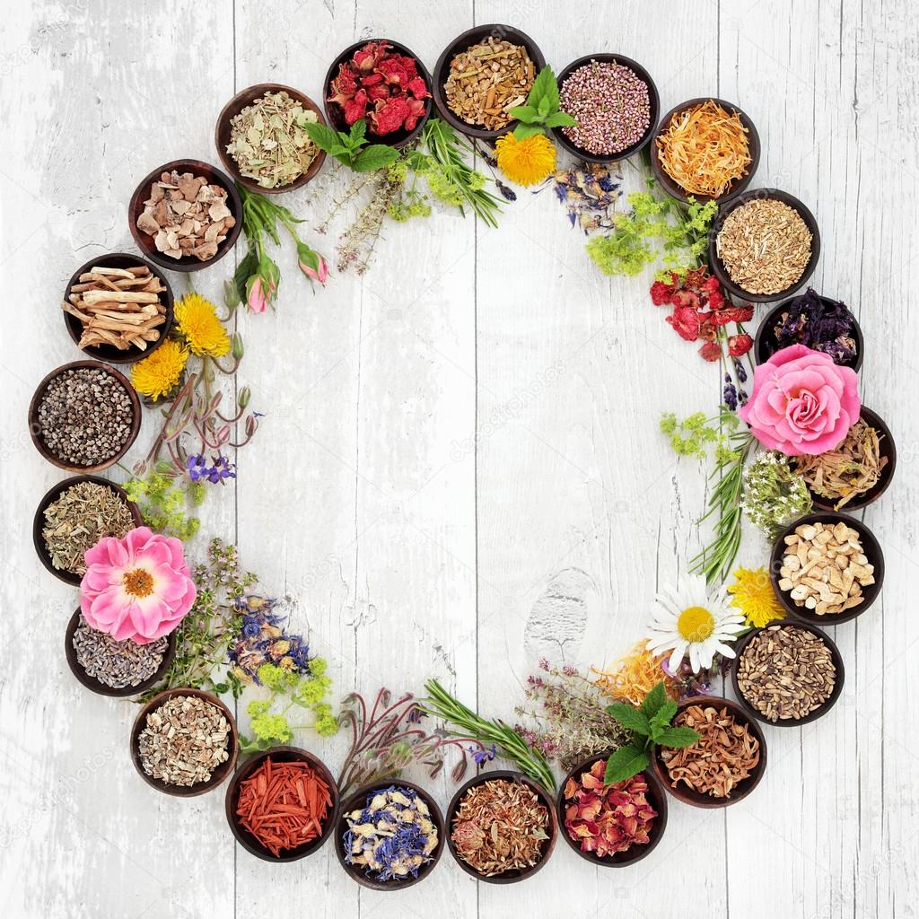 Medicinal Flowers and Herbs