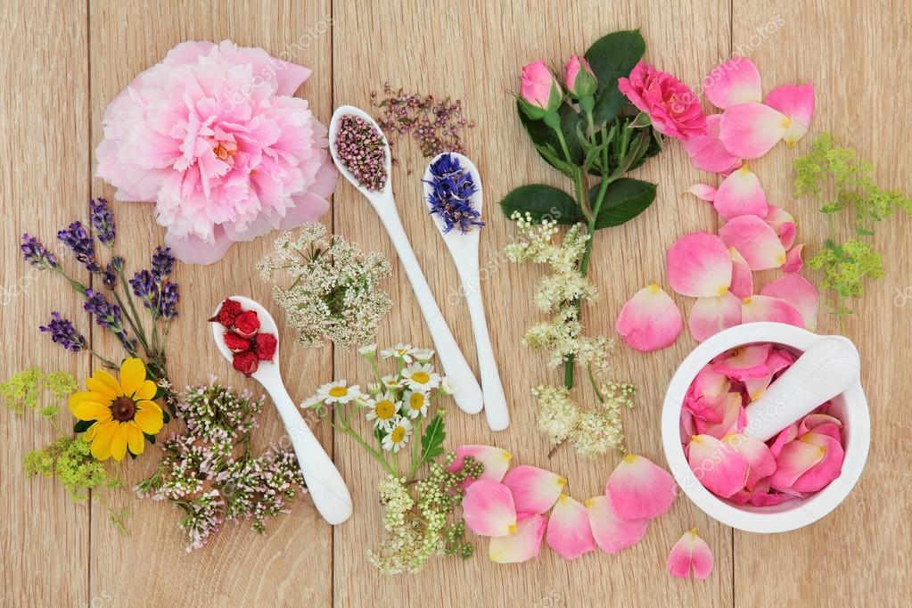 Medicinal Healing Herbs And Flowers Stock Photo By C Marilyna 89142552