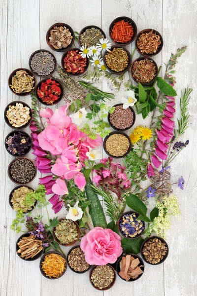 Alternative Herbal Medicine — Stock Photo, Image