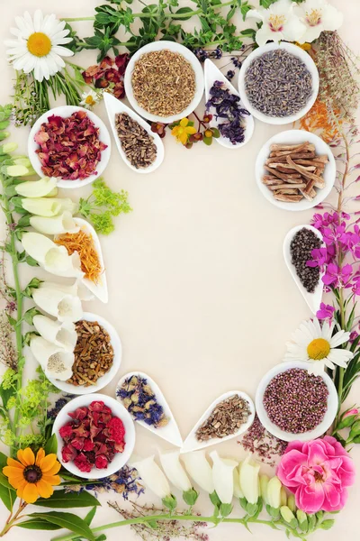 Herbal Medicine Ingredients — Stock Photo, Image