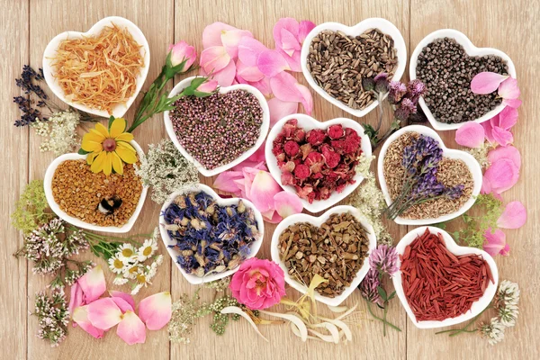 Healing Herbs and Flowers — Stock Photo, Image