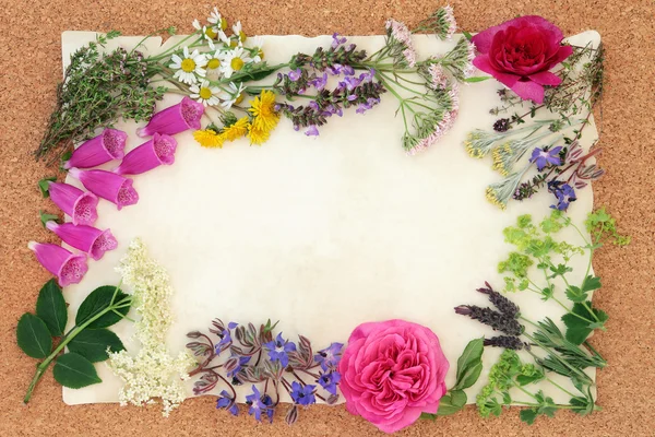 Flower and Herbal Medicine — Stock Photo, Image