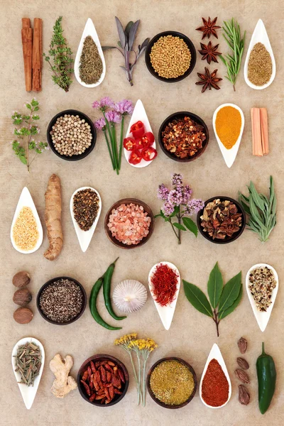 Spice en kruid sampler — Stockfoto