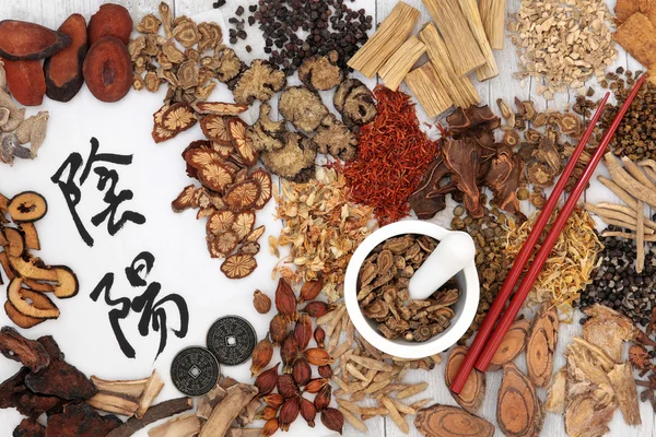 Traditionell kinesisk örtmedicin — Stockfoto