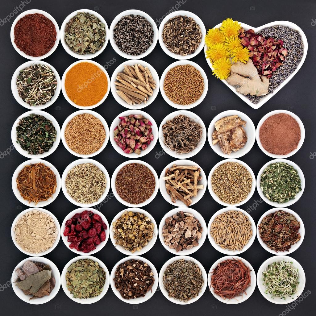 Herbal Health Symbols Stock Vector (Royalty Free) 97583258