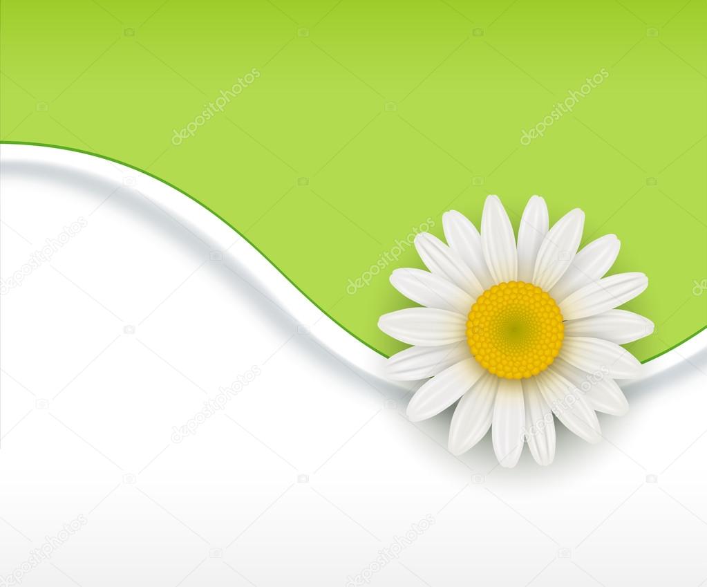 Green flower Background 