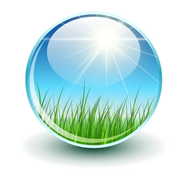 Sphere with  green grass inside — Stock Vector