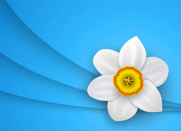白い花の背景 — ストックベクタ