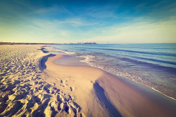 발트 해 해변 — 스톡 사진